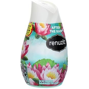 Renuzit After The Rain Gel Air Freshener 198g