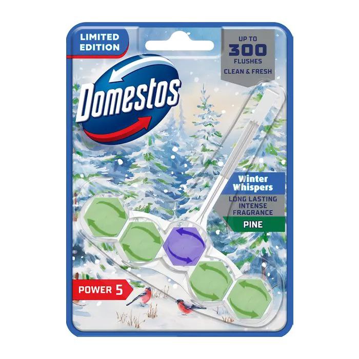 Domestos Rim Block Power Winter Whispers Pine
